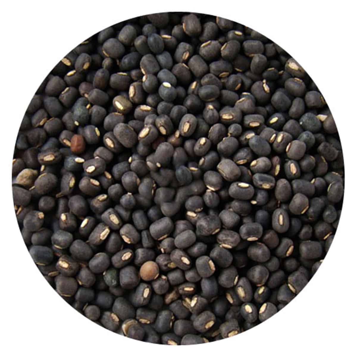 Buy IAG Foods Black Lentils - 450 gm