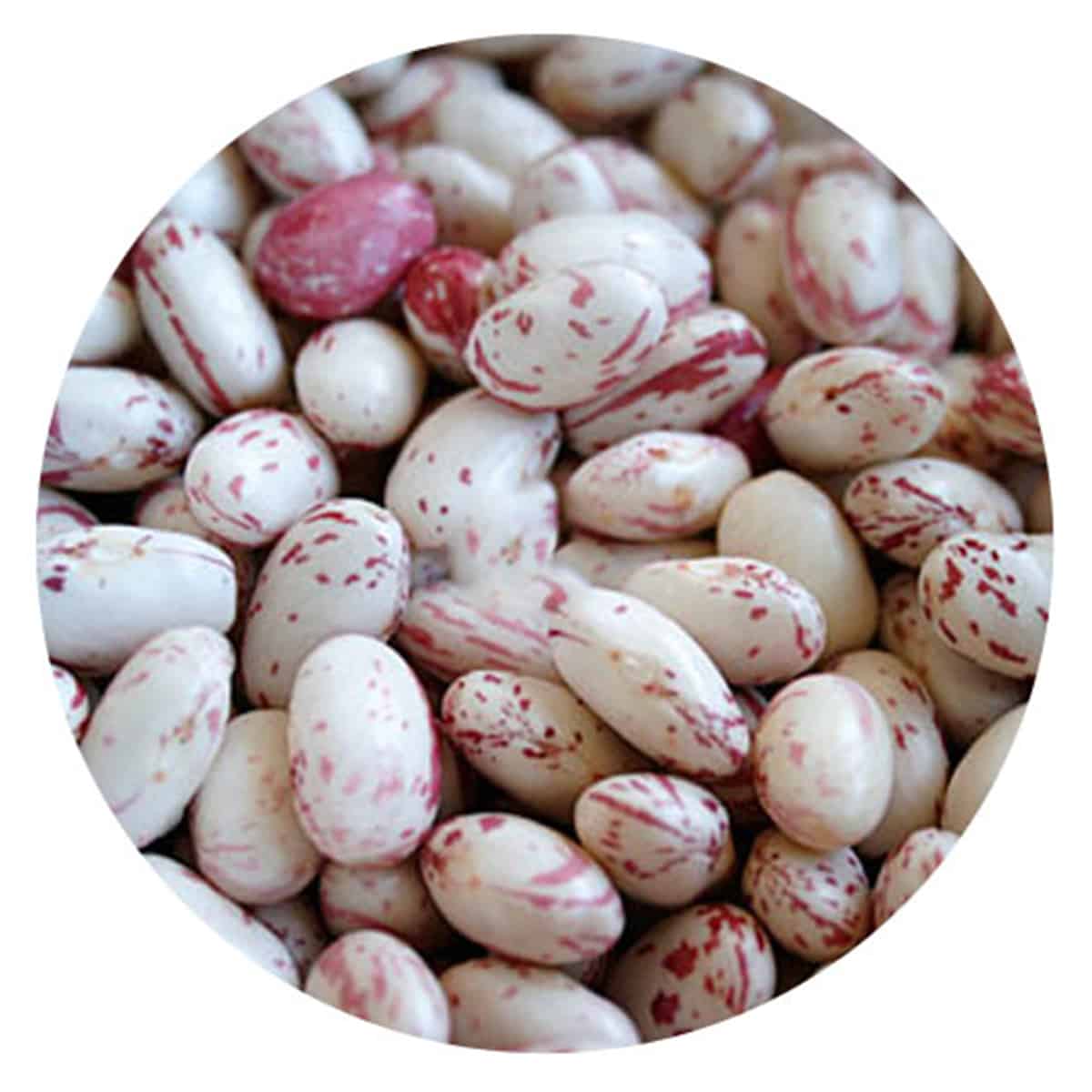 Buy IAG Foods Dried Borlotti Beans (Cranberry Beans) - 450 gm