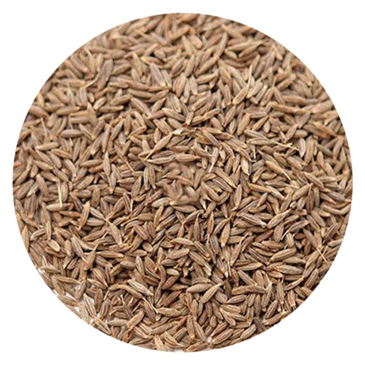 Buy IAG Foods Cumin Seeds (Jeera) - 1 kg