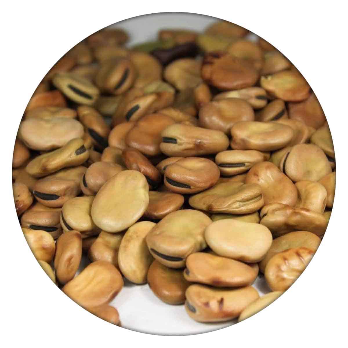 Buy IAG Foods Dried Fava Beans - 450 gm