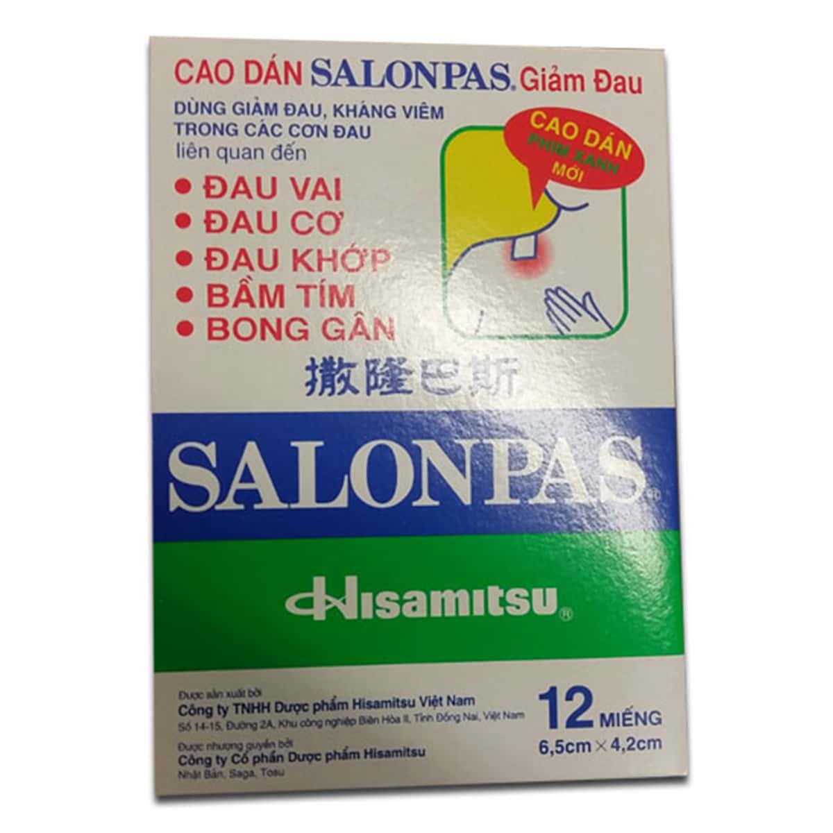 Salonpas (Pain Relieving Patches) 12 Pcs - 50 gm