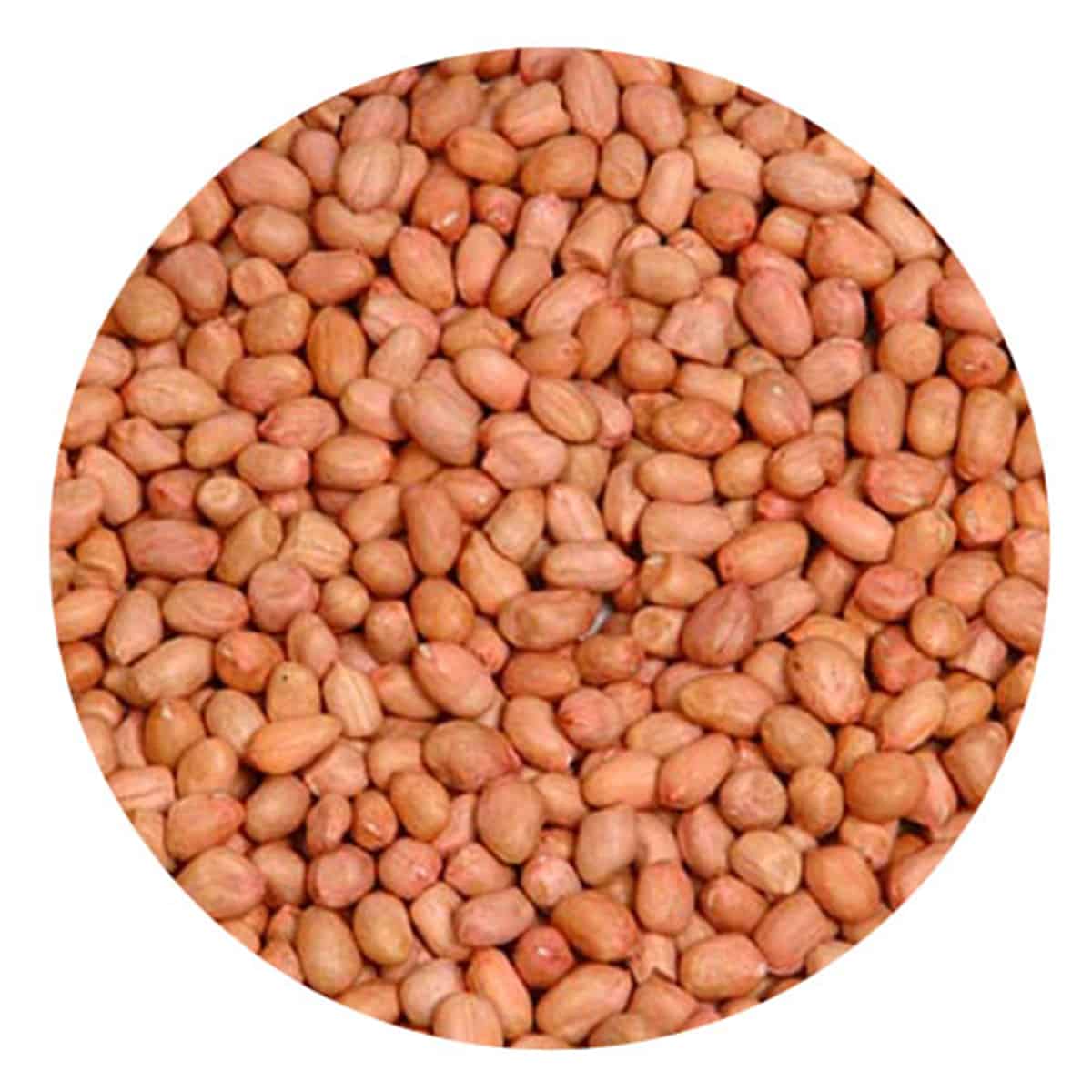 Buy IAG Foods Peanuts - 1 kg