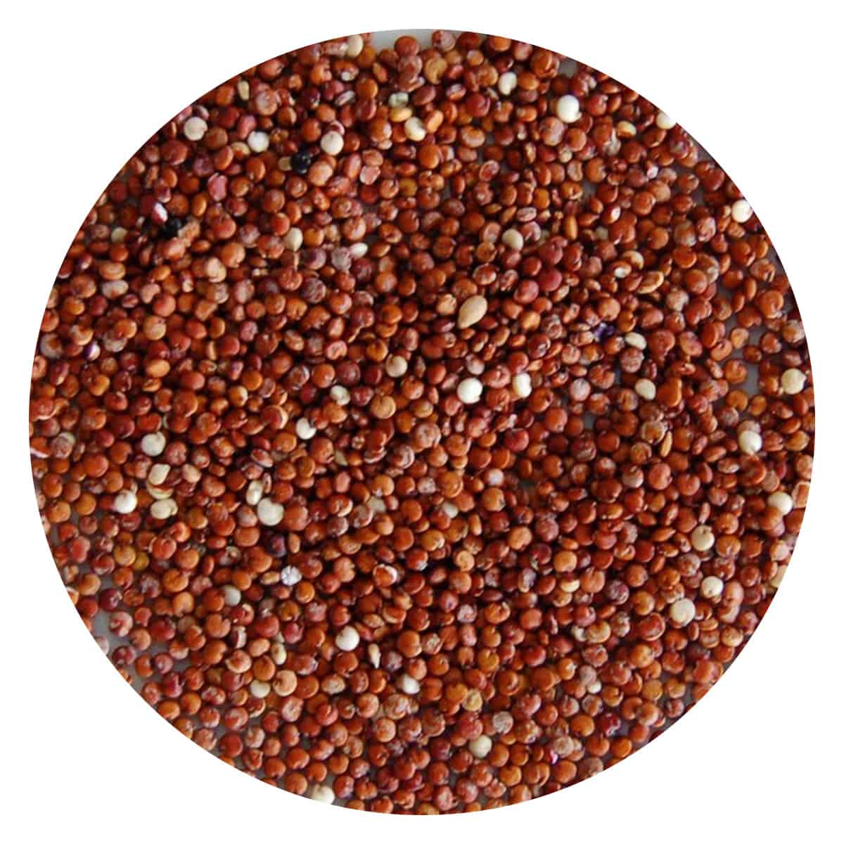Buy IAG Foods Red Quinoa Seeds - 450 gm