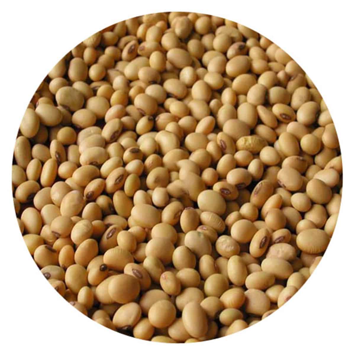 Buy IAG Foods Soybeans - 1 kg