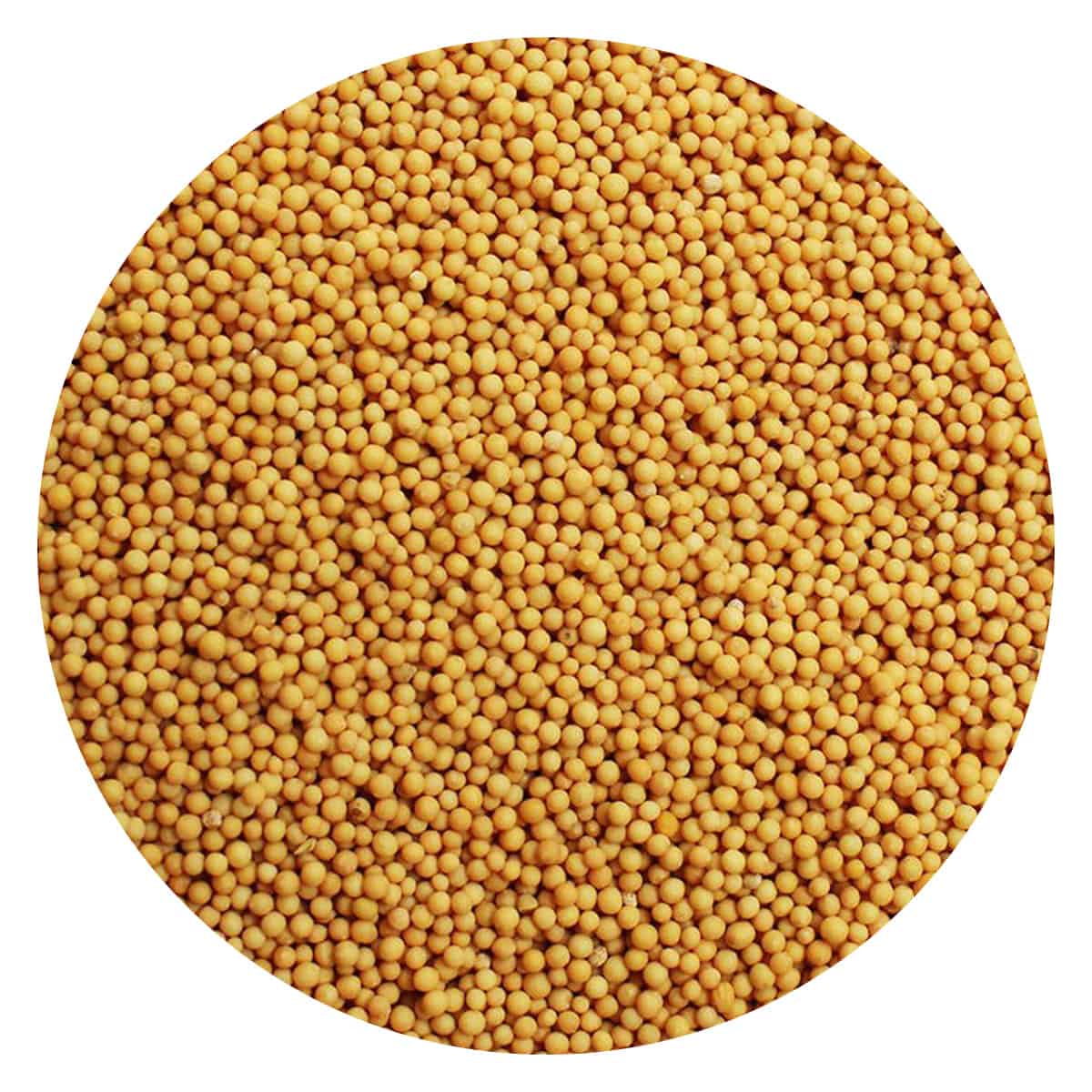 Buy IAG Foods Yellow Mustard Seeds - 1 kg